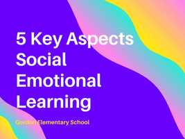 Free download SEL voice over video and edit with RedcoolMedia movie maker MovieStudio video editor online and AudioStudio audio editor onlin