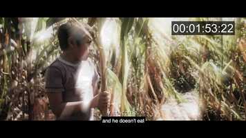 Free download Semilla | Short Film | Music by James Molloy video and edit with RedcoolMedia movie maker MovieStudio video editor online and AudioStudio audio editor onlin