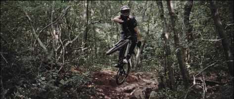 Free download Send it with Ante video and edit with RedcoolMedia movie maker MovieStudio video editor online and AudioStudio audio editor onlin