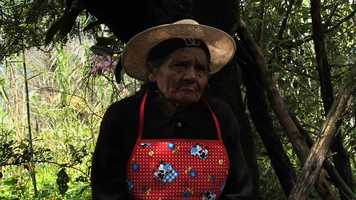 Free download SENORITA MARIA TRAILER video and edit with RedcoolMedia movie maker MovieStudio video editor online and AudioStudio audio editor onlin