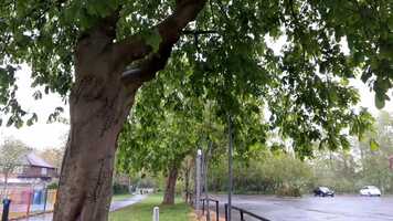 Free download Sensory Film.mp4 video and edit with RedcoolMedia movie maker MovieStudio video editor online and AudioStudio audio editor onlin