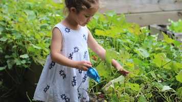 Free download September 13 Worship video and edit with RedcoolMedia movie maker MovieStudio video editor online and AudioStudio audio editor onlin