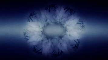 Free download Sept Papillons  Papillon I video and edit with RedcoolMedia movie maker MovieStudio video editor online and AudioStudio audio editor onlin