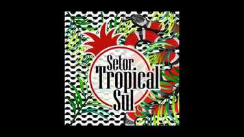 Free download Setor Tropical Sul After Movie video and edit with RedcoolMedia movie maker MovieStudio video editor online and AudioStudio audio editor onlin
