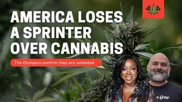 Free download ShaCarri Richardson Tests Positive for Cannabis _ Supporters Everywhere Stand Up video and edit with RedcoolMedia movie maker MovieStudio video editor online and AudioStudio audio editor onlin
