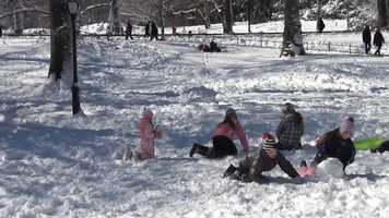 Free download Shakespeare IN the Park If Music The Food Of Love Play On.. video and edit with RedcoolMedia movie maker MovieStudio video editor online and AudioStudio audio editor onlin