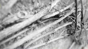 Free download Shame_TR/ST video and edit with RedcoolMedia movie maker MovieStudio video editor online and AudioStudio audio editor onlin