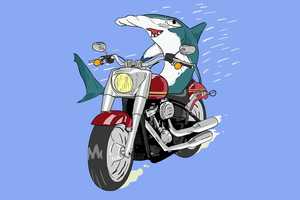 Free download Shark Motorcycle Loop video and edit with RedcoolMedia movie maker MovieStudio video editor online and AudioStudio audio editor onlin