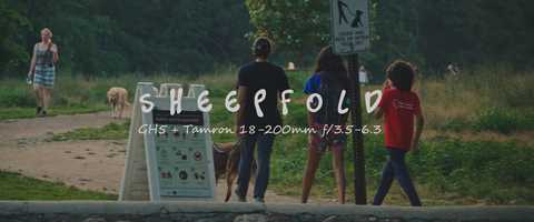 Free download Sheepfold Dog Park video and edit with RedcoolMedia movie maker MovieStudio video editor online and AudioStudio audio editor onlin