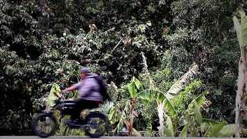 Free download Sheer Ammonite video and edit with RedcoolMedia movie maker MovieStudio video editor online and AudioStudio audio editor onlin