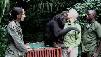 Free download She Got Strut.mov video and edit with RedcoolMedia movie maker MovieStudio video editor online and AudioStudio audio editor onlin