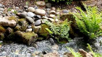 Free download Shelly Cram Short Promo with Music 6-4-15 video and edit with RedcoolMedia movie maker MovieStudio video editor online and AudioStudio audio editor onlin