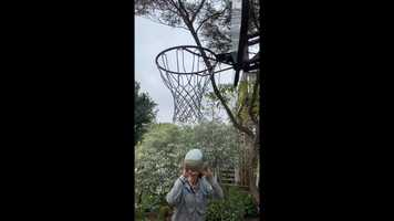 Free download Sheltering In Basketball video and edit with RedcoolMedia movie maker MovieStudio video editor online and AudioStudio audio editor onlin