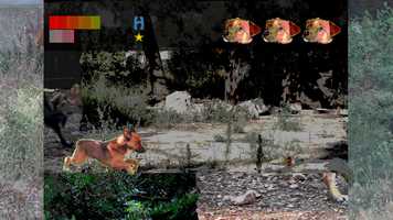 Free download Shelter Run video and edit with RedcoolMedia movie maker MovieStudio video editor online and AudioStudio audio editor onlin