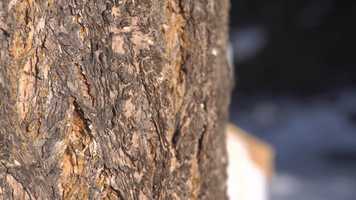 Free download Shes into you Bro video and edit with RedcoolMedia movie maker MovieStudio video editor online and AudioStudio audio editor onlin