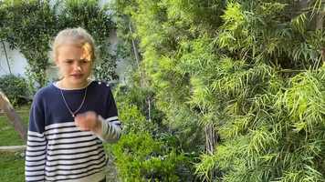 Free download Shipwrecked video and edit with RedcoolMedia movie maker MovieStudio video editor online and AudioStudio audio editor onlin