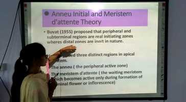 Free download Shoot apical meristem video and edit with RedcoolMedia movie maker MovieStudio video editor online and AudioStudio audio editor onlin
