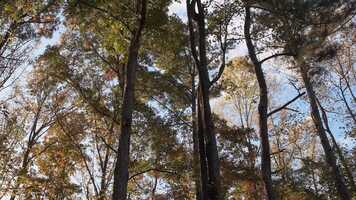 Free download Short Clips 24fps.mp4 video and edit with RedcoolMedia movie maker MovieStudio video editor online and AudioStudio audio editor onlin