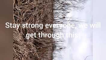 Free download Shorter Short Second Runner Up! Title: Happy Pets video and edit with RedcoolMedia movie maker MovieStudio video editor online and AudioStudio audio editor onlin