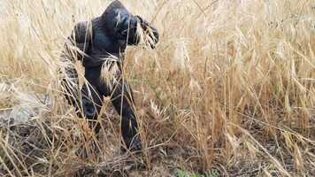 Free download Short_filmMason.mp4 video and edit with RedcoolMedia movie maker MovieStudio video editor online and AudioStudio audio editor onlin