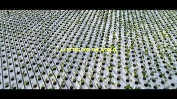 Free download Shortfilms: A Letter For The World-Trailer video and edit with RedcoolMedia movie maker MovieStudio video editor online and AudioStudio audio editor onlin