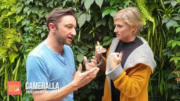 Free download Shorts Relief: Cameralla Promo Vid video and edit with RedcoolMedia movie maker MovieStudio video editor online and AudioStudio audio editor onlin