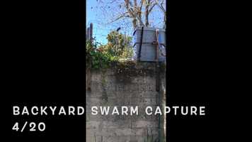 Free download Short Swarm Movie 2020 video and edit with RedcoolMedia movie maker MovieStudio video editor online and AudioStudio audio editor onlin