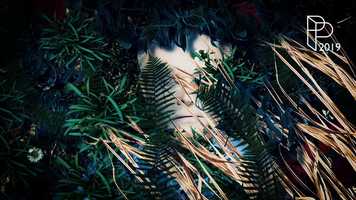 Free download SHOW REEL #2019 PASCAL PAWLISZEWSKI.COM video and edit with RedcoolMedia movie maker MovieStudio video editor online and AudioStudio audio editor onlin