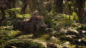 Free download Showreel The LionKing 2019  The lion sleeps tonight sequence video and edit with RedcoolMedia movie maker MovieStudio video editor online and AudioStudio audio editor onlin