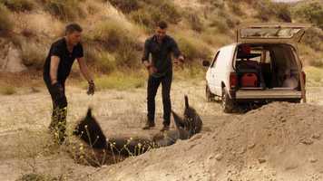 Free download Showtime - Ray Donovan Marathon Bumper Seasons 1-5 video and edit with RedcoolMedia movie maker MovieStudio video editor online and AudioStudio audio editor onlin