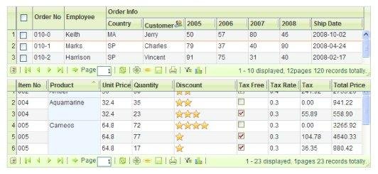 Download web tool or web app Sigma Ajax Data Grid View