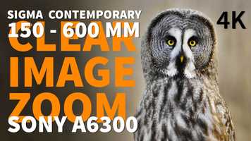 Free download Sigma Contemporary 150-600 Clear Image Zoom Sony a6300 Sigma MC11 Converter | Great Grey Owl video and edit with RedcoolMedia movie maker MovieStudio video editor online and AudioStudio audio editor onlin