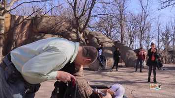 Free download Silicone Soul Documentary Trailer (2019) video and edit with RedcoolMedia movie maker MovieStudio video editor online and AudioStudio audio editor onlin