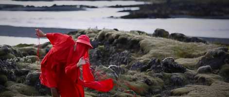 Free download SILKWORMS video and edit with RedcoolMedia movie maker MovieStudio video editor online and AudioStudio audio editor onlin