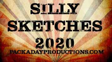 Free download Silly Sketches of 2020 (part 1) video and edit with RedcoolMedia movie maker MovieStudio video editor online and AudioStudio audio editor onlin