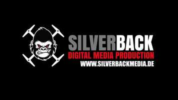 Free download Silverback Showreel 2019 video and edit with RedcoolMedia movie maker MovieStudio video editor online and AudioStudio audio editor onlin