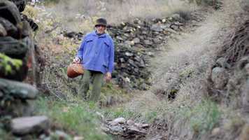 Free download Simon video and edit with RedcoolMedia movie maker MovieStudio video editor online and AudioStudio audio editor onlin