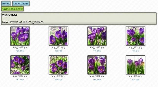 Download web tool or web app Simple Ajax Image Gallery