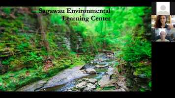 Free download Singing Insects Training Part 1 video and edit with RedcoolMedia movie maker MovieStudio video editor online and AudioStudio audio editor onlin