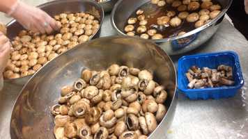 Free download Singing in Service 6/25/19 video and edit with RedcoolMedia movie maker MovieStudio video editor online and AudioStudio audio editor onlin