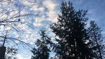 Free download Singing In The Storm video and edit with RedcoolMedia movie maker MovieStudio video editor online and AudioStudio audio editor onlin