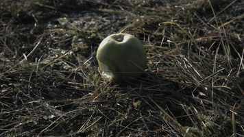 Free download SIN trailer video and edit with RedcoolMedia movie maker MovieStudio video editor online and AudioStudio audio editor onlin