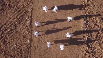 Free download Sizokhungwa Ngani? Poem by FossilSoul on Amahubo video by Buhlebezwe Siwani video and edit with RedcoolMedia movie maker MovieStudio video editor online and AudioStudio audio editor onlin