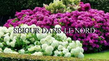 Free download sjour dans le nord.SAMEDI 31.movie.mp4 video and edit with RedcoolMedia movie maker MovieStudio video editor online and AudioStudio audio editor onlin