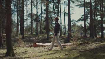 Free download SKALL Studio - Earth Day video and edit with RedcoolMedia movie maker MovieStudio video editor online and AudioStudio audio editor onlin