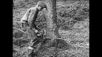 Free download Skogens mn (del 2/2) video and edit with RedcoolMedia movie maker MovieStudio video editor online and AudioStudio audio editor onlin