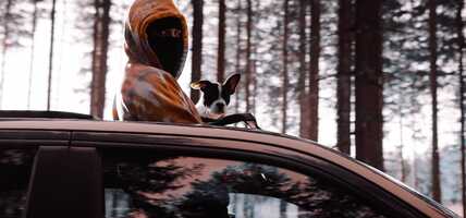 Free download Slim Lessio La Vie video and edit with RedcoolMedia movie maker MovieStudio video editor online and AudioStudio audio editor onlin