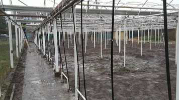 Free download Slovakia Horticultural Technological Trading(06.03.2020.) video and edit with RedcoolMedia movie maker MovieStudio video editor online and AudioStudio audio editor onlin