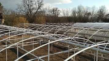 Free download Slovakia Horticultural Technological Trading(08.03.2020.) video and edit with RedcoolMedia movie maker MovieStudio video editor online and AudioStudio audio editor onlin