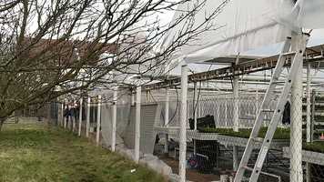 Free download Slovakia Horticultural Technological Trading(11.03.2020.) video and edit with RedcoolMedia movie maker MovieStudio video editor online and AudioStudio audio editor onlin